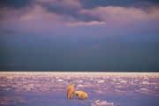 Лучшие фотографии от National Geographic за ноябрь 2011