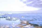 Минувший год стал самым теплым в истории для Арктики и Сибири