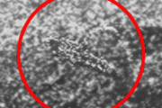 NASA назвало объекты на фото с Венеры шумами