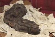 В Египте нашли палец великана