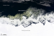 Таинственные зелёные водовороты обнаружены у берегов Антарктиды