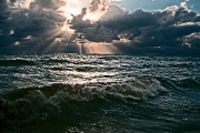 Цветение Черного моря становится рекордным, заявляют эксперты