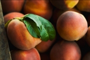 Косточковые фрукты защищают от диабета и сердечно-сосудистых хворей