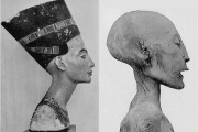 Вторая жизнь Нефертити 