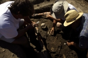 Братская могила мамонтов найдена в Сербии
