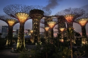 Сингапурский "Райский Сад"