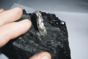 Механическую деталь, которой 300 миллионов лет, нашли ученные